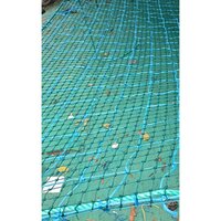 Army Pasing Net - Color: Green & Blue
