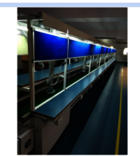 Touch-up Belt Conveyor With Double Sided Working Platform