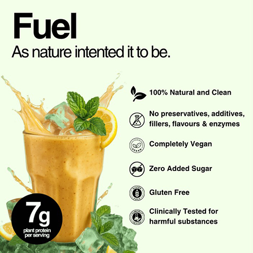 Masala Mix Flavor Vegan Protein - Dosage Form: Powder