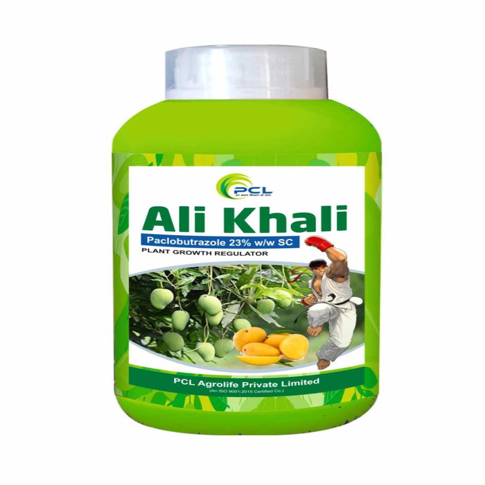 ALI KHALI PGR