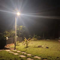 Solar Garden Lights