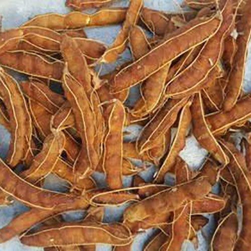 Seeded Tamarind Big Size - Color: Dark Brown / Reddish Brown / Black