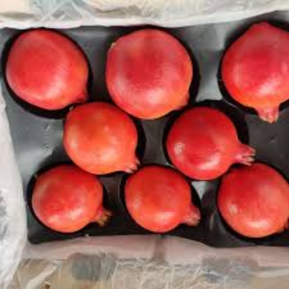 Fresh Red Pomegranate - Color: Ted