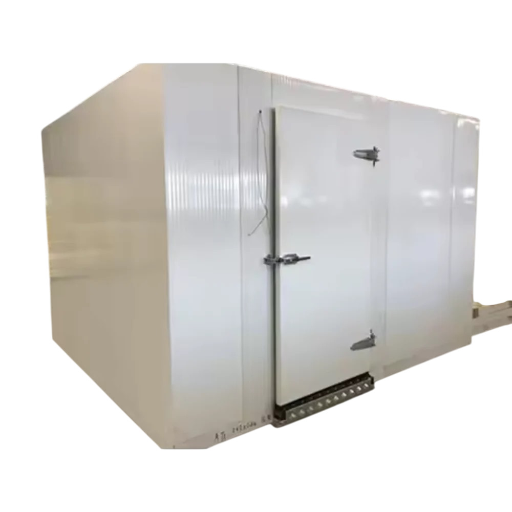 Industrial Storage Cold Room - Color: White