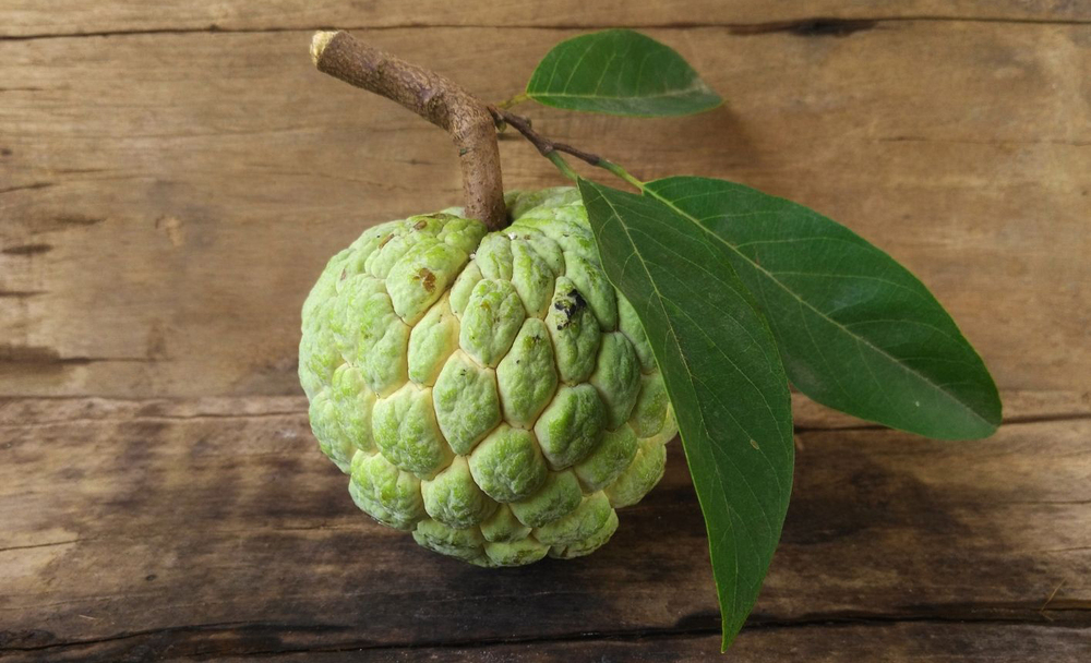 Fresh Custard Apple - Color: Green