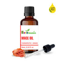 Mace Oil - Herbal Extract Liquid, Cold-pressed, Unique Fragrance Compound, 12-month Shelf Life, Insoluble In Water, Room Temperature Storage