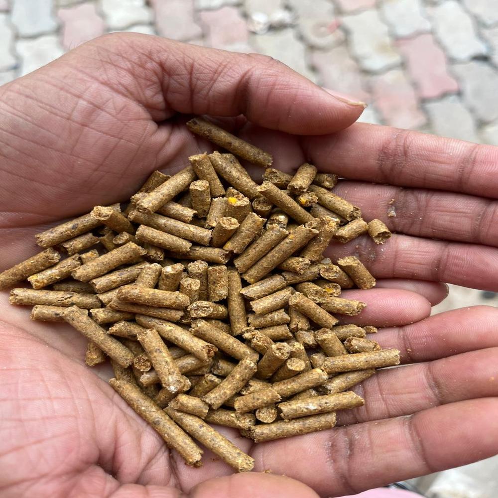 द्वारकेश पशु आहार