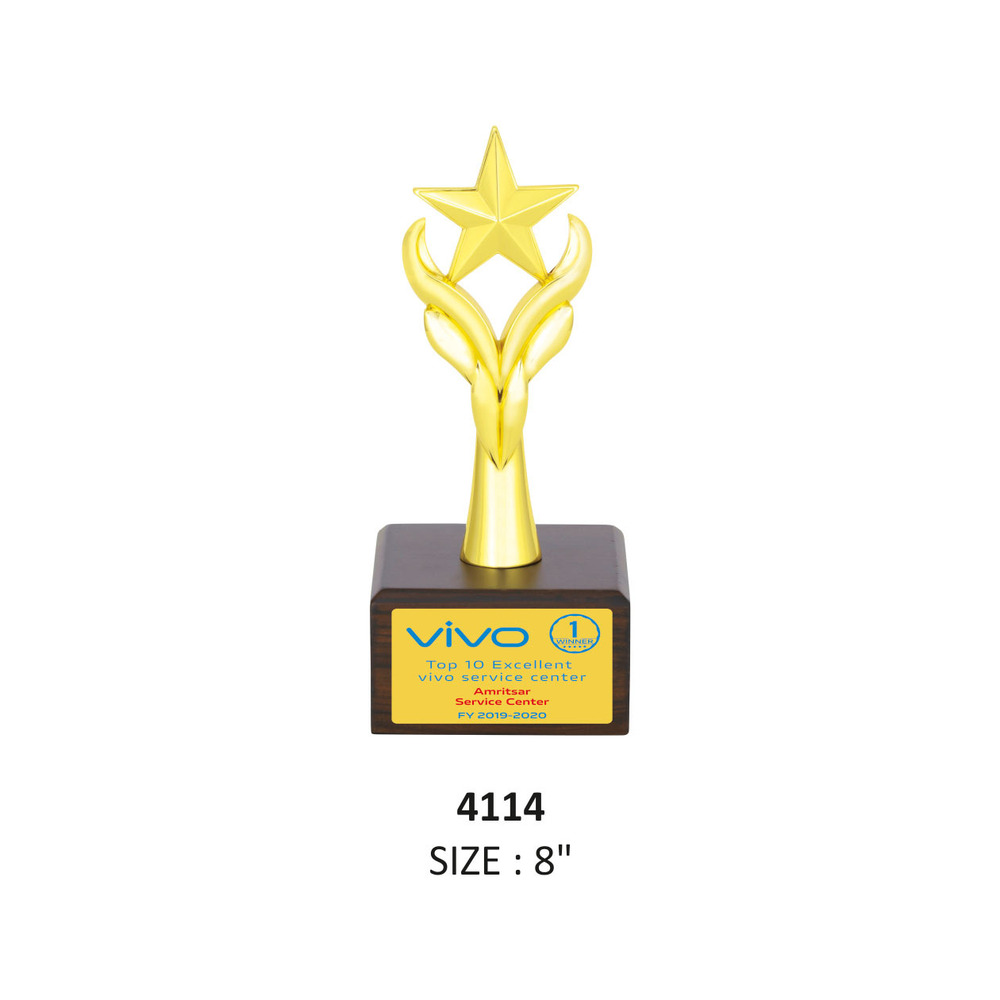 Metal Star With Wooden Base - Finishing: Glossy