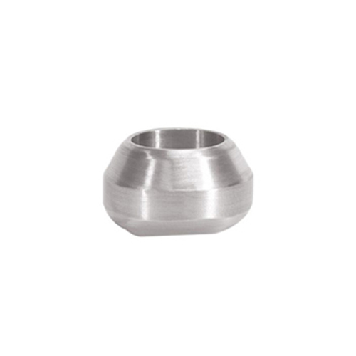 Stainless Steel Olets