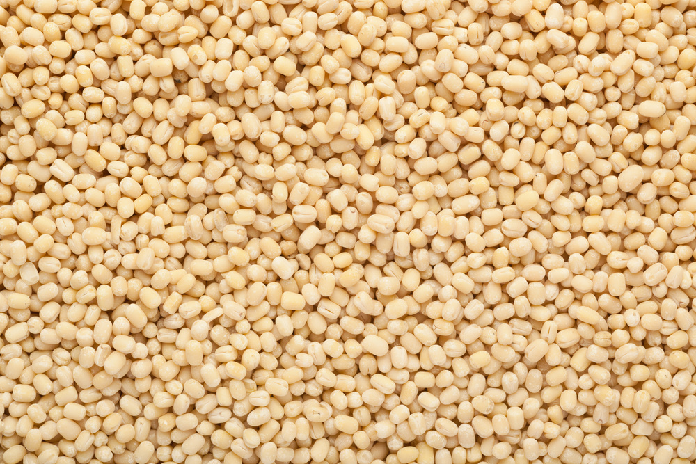 Urad Dal - Cultivation Type: Organic
