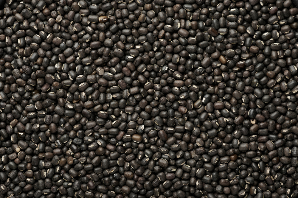 Black Urad Dal - Cultivation Type: Organic