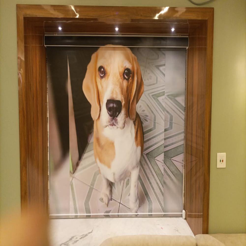 Customised Window Blinds