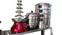 Electric Momo Steamer - Interior Coating: Yes