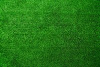Artificial Grass