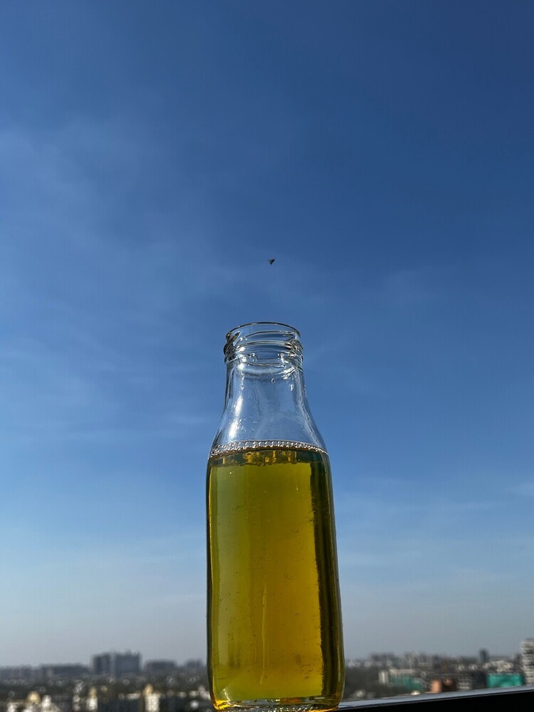 Liquid Biodiesel Oil