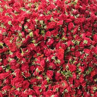 Red Rose Flower - Size: Natural