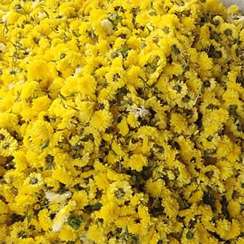 Yellow Chamandhi - Size: Natural