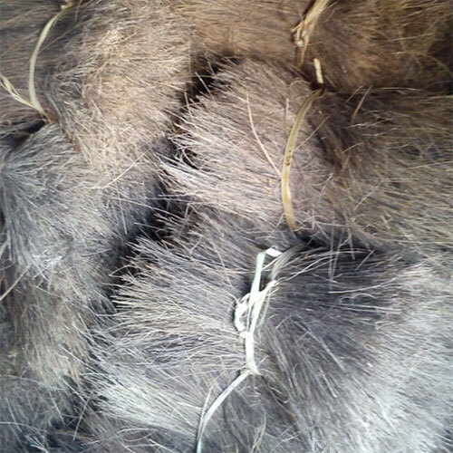 Palm Fiber - Color: Brown