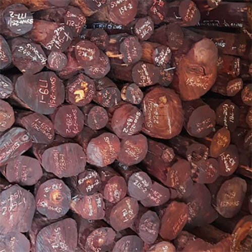 Red Sandalwood