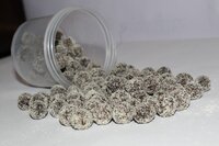 Borkut Gatagat  Goli