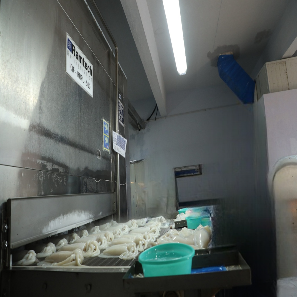 1000kg IQF Individual Quick Freezer