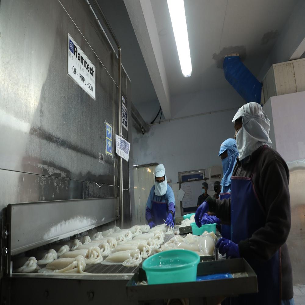 1000kg IQF Individual Quick Freezer