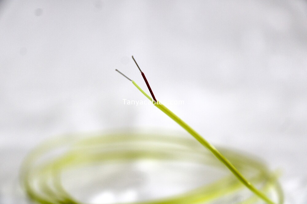 J Type Thermocouple.