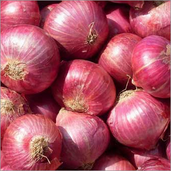 ताज़ी लाल प्याज