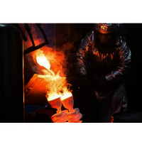 Non Ferrous Casting Service - Material: Iron