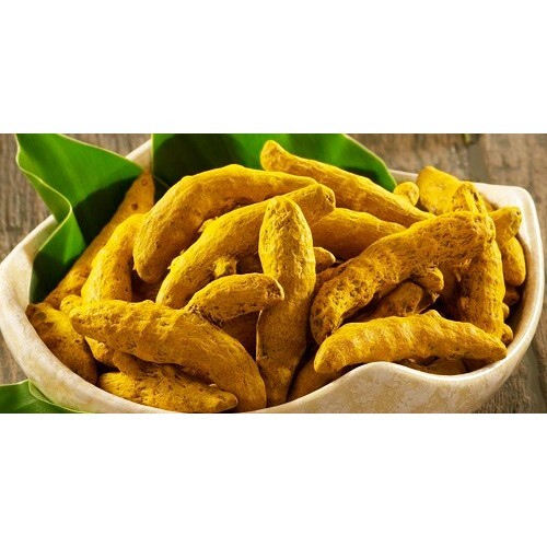 Turmeric Finger - Color: Yellow