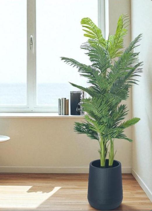 Artificial Areca Palm - Breed: Hybrid Cultivar