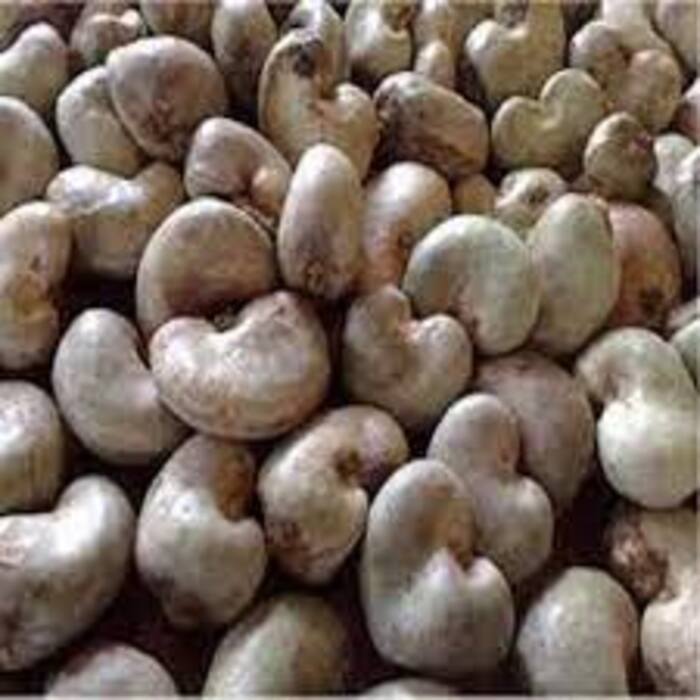 Dried Raw Cashew Nut