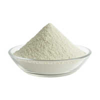 Gypsum Powder