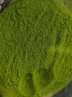 Moringa Powder - Color: Green