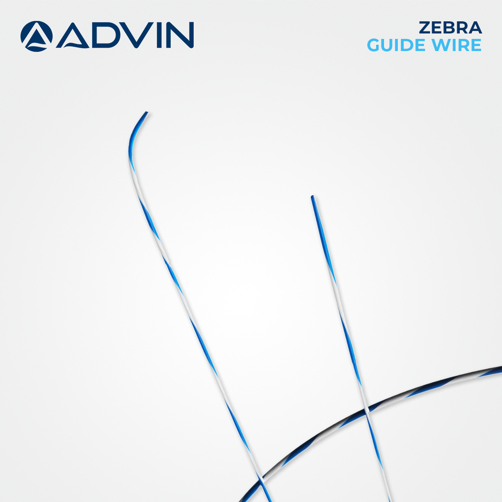 Manual Zebra Hydrophilic Guide Wire