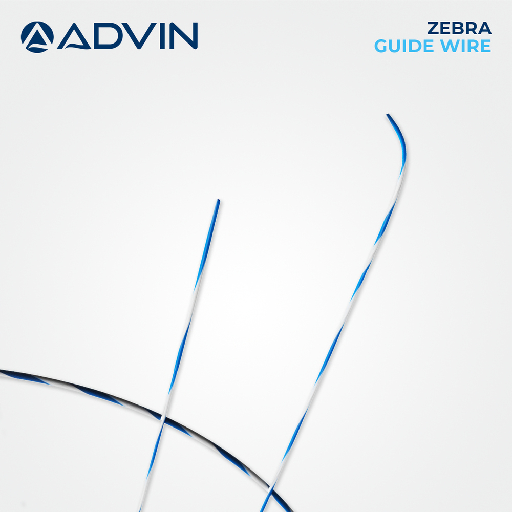 Manual Zebra Hydrophilic Guide Wire