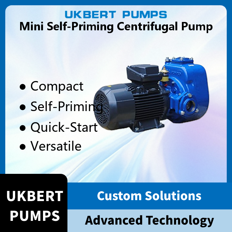 Stainless Steel Mini Self-Priming Centrifugal Pump