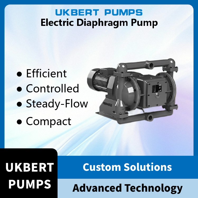 DG Series Miniature Electric Diaphragm Pump