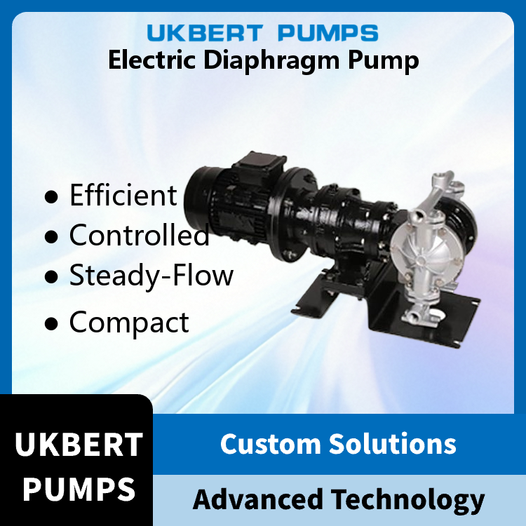 DG Series Miniature Electric Diaphragm Pump