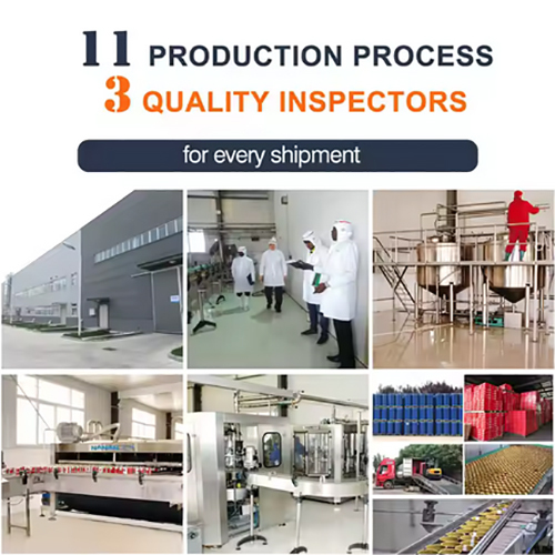 Tomato Puree-double Concentration - Concentration: High