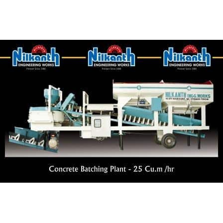 कंक्रीट का पौधा