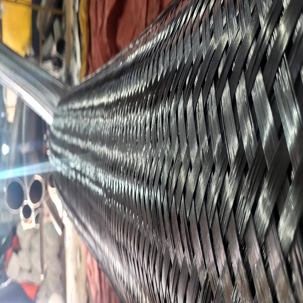 SS Braided Flexible Hose for Gas