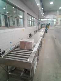 Powerised Roller Conveyor