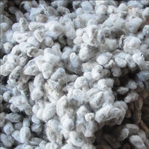 Cotton Seed - Grade: Feed Grade