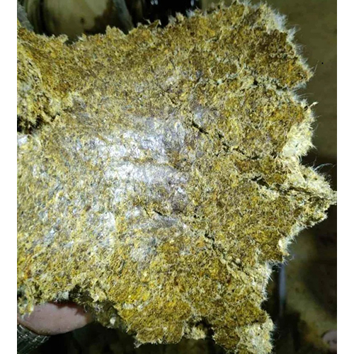 Cotton Seed Oil Cake - Efficacy: Promote Healthy
