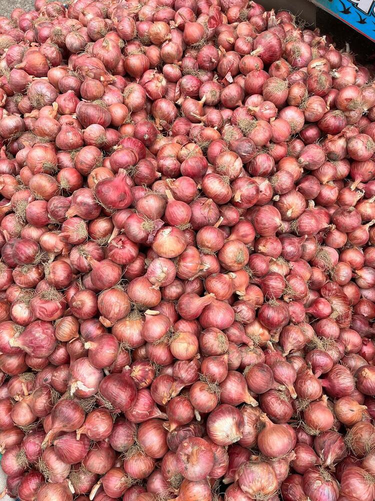 Red Small Onion