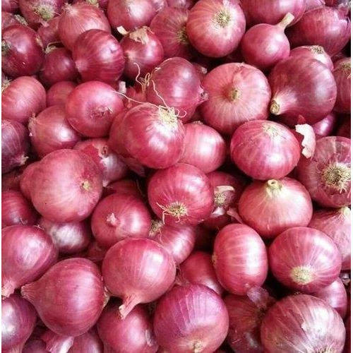Red Onion - Cultivation Type: Organic