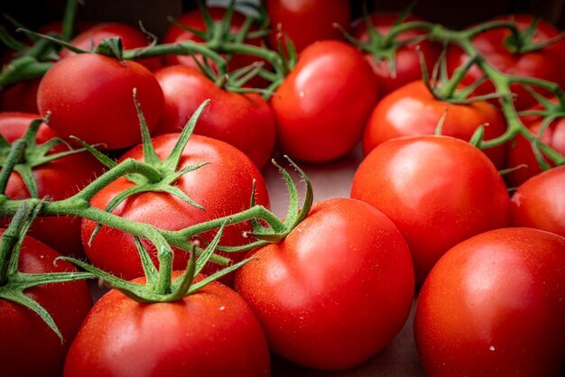 Red Tomato - Cultivation Type: Organic