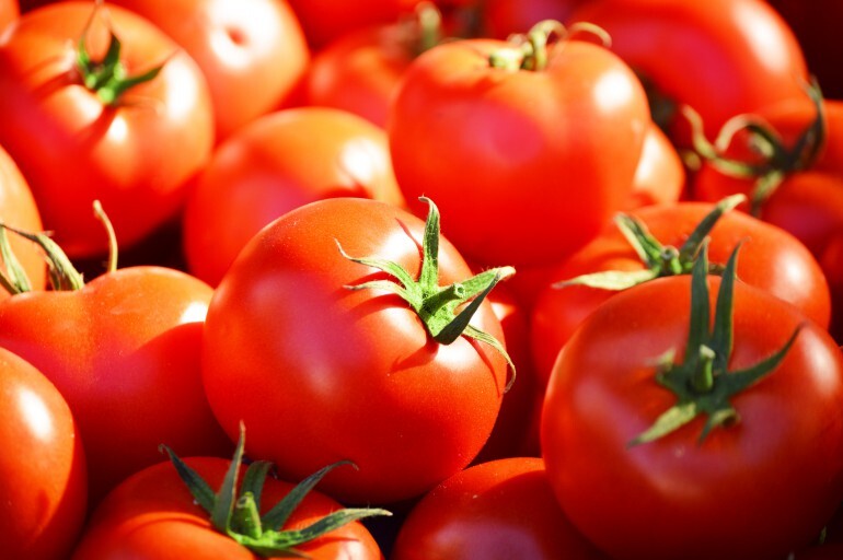 Red Tomato - Cultivation Type: Organic