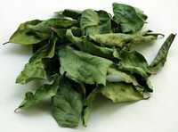 Curry Leaves